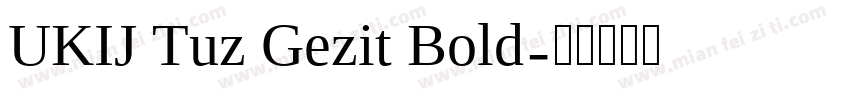 UKIJ Tuz Gezit Bold字体转换